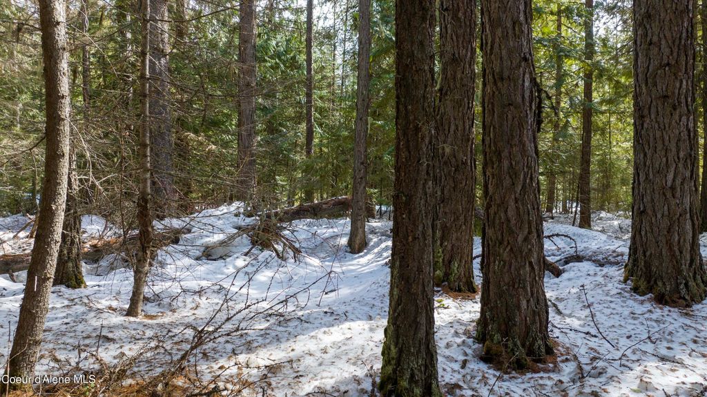 Blk1 Lot3 Highway 57, Priest Lake, ID 83856 photo 10