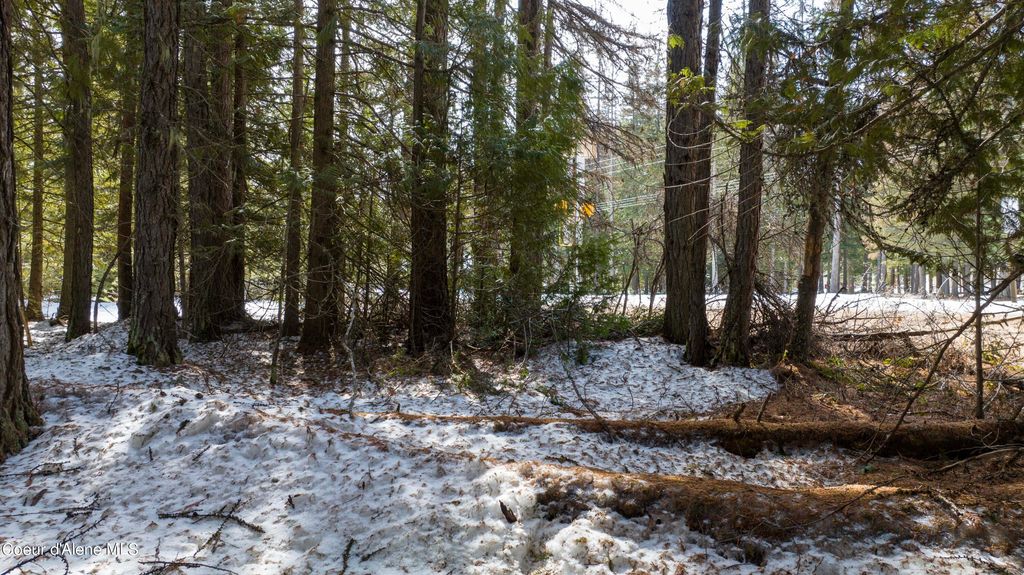 Blk1 Lot3 Highway 57, Priest Lake, ID 83856 photo 11