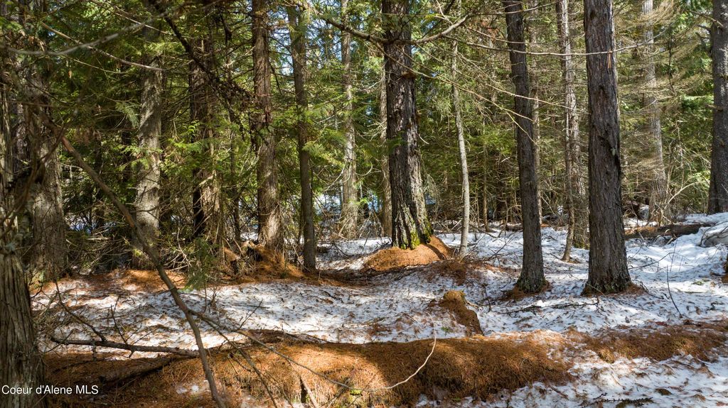 Blk1 Lot3 Highway 57, Priest Lake, ID 83856 photo 8
