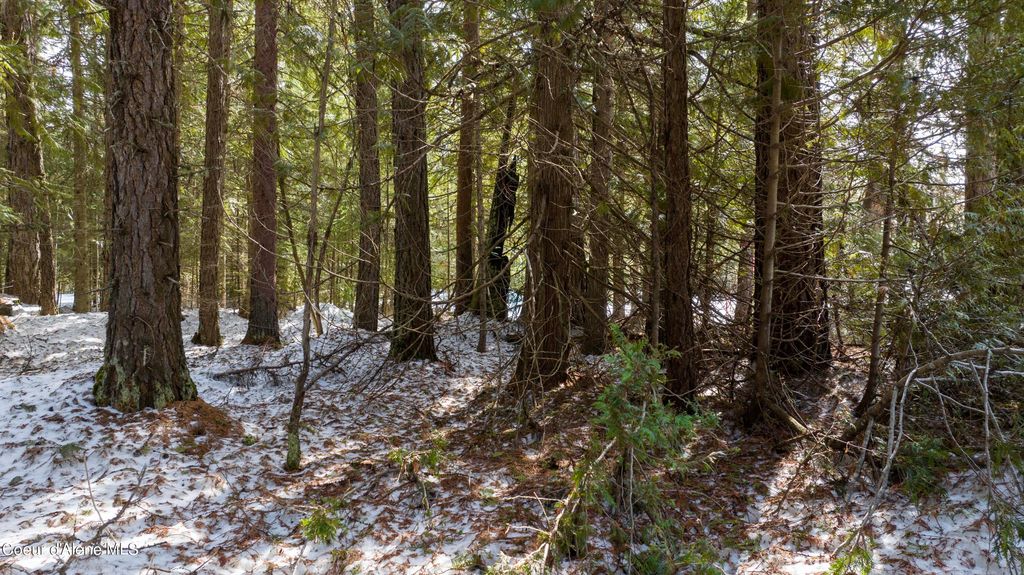 Blk1 Lot3 Highway 57, Priest Lake, ID 83856 photo 9