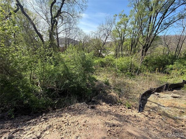 4595 Indian Springs Road, House Springs, MO 63051