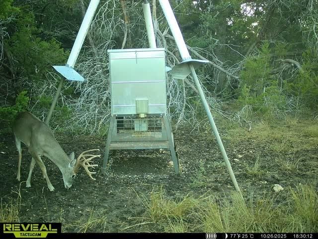 3026 Pursley RD, Dripping Springs, TX 78620