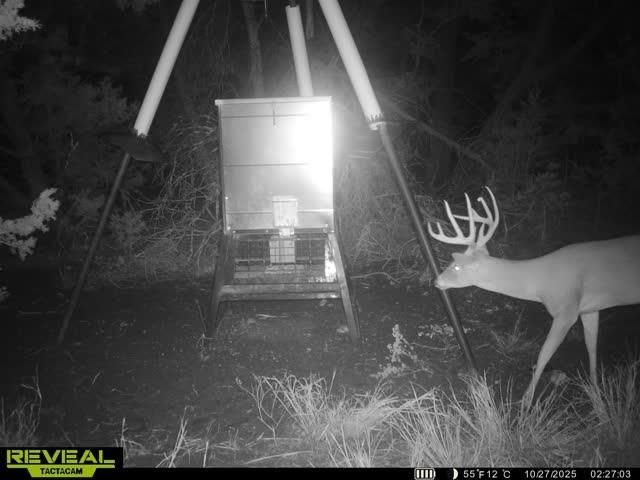 3026 Pursley RD, Dripping Springs, TX 78620