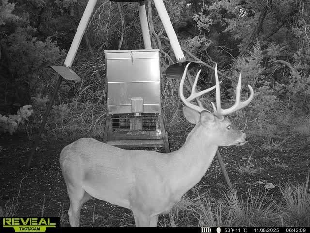 3026 Pursley RD, Dripping Springs, TX 78620