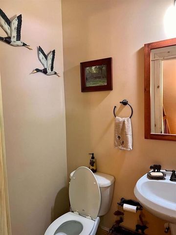 381 Laurel Ridge Drive, Ellijay, GA 30536