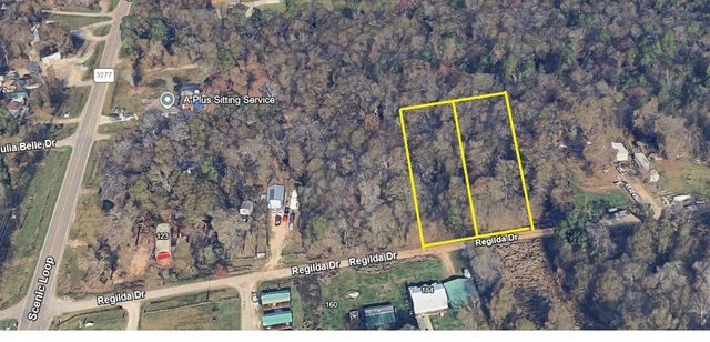 219 E Regilda Drive, Livingston, TX 77351