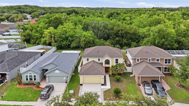 24945 RAVELLO STREET, Land O Lakes, FL 34639