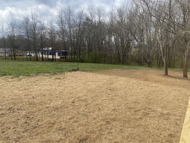 81 Lighthouse Dr, Summertown, TN 38483