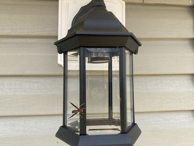 81 Lighthouse Dr, Summertown, TN 38483