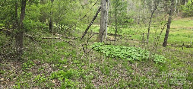 000 Indian Trail, Lenoir, NC 28645