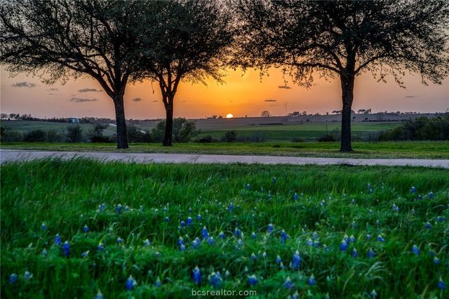 20383 Highway 159 W, New Ulm, TX 78950