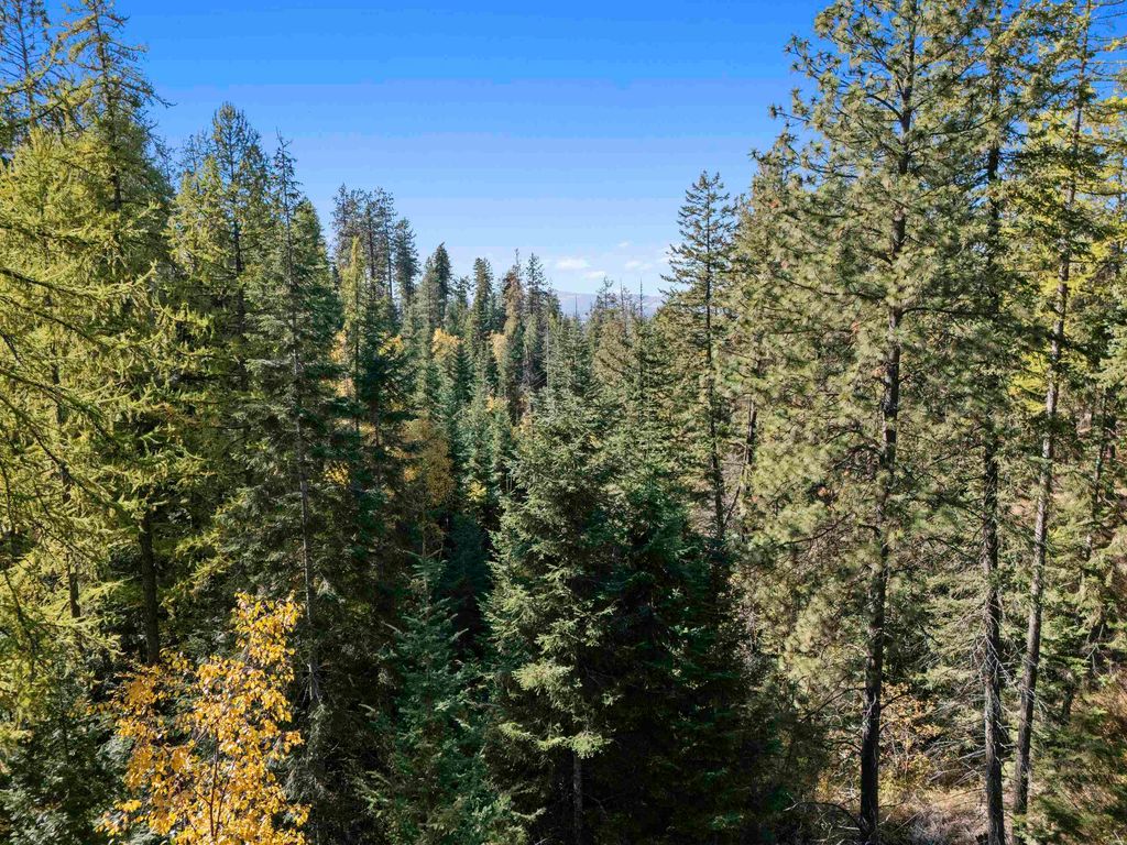 NNA N Madison Rd, Mead, WA 99021 photo 9