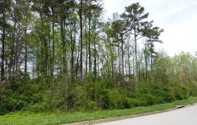 204 Benefield Court, Stockbridge, GA 30281