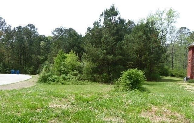 204 Benefield Court, Stockbridge, GA 30281