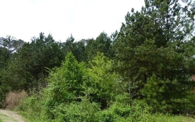 204 Benefield Court, Stockbridge, GA 30281