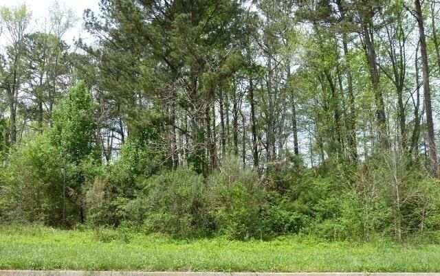 204 Benefield Court, Stockbridge, GA 30281