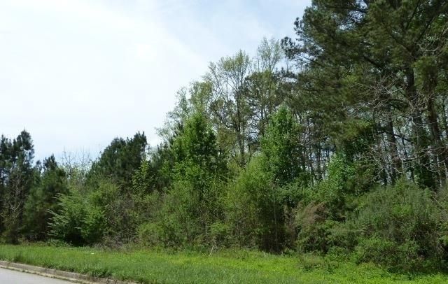 204 Benefield Court, Stockbridge, GA 30281