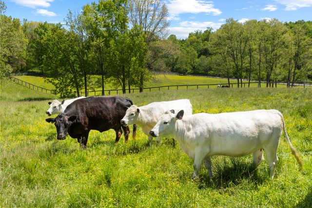 154 Double Culvert Road, Georgetown, KY 40324