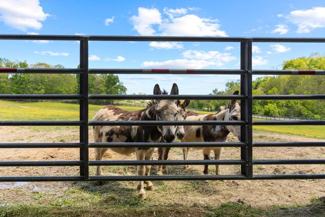 154 Double Culvert Road, Georgetown, KY 40324