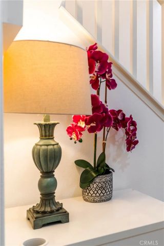 320 Bronze, Irvine, CA 92618