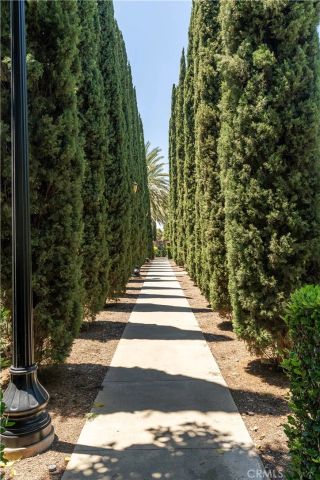 320 Bronze, Irvine, CA 92618