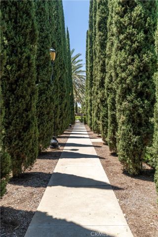 320 Bronze, Irvine, CA 92618