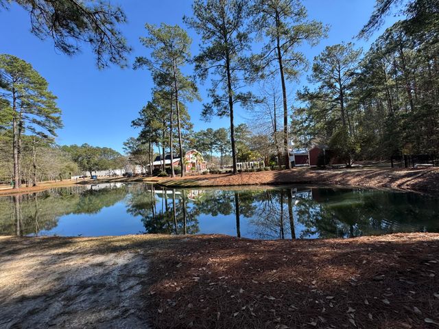 8754 Pasture Court, Summerville, SC 29485