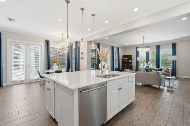 1501 AMARONE PLACE, Lutz, FL 33548