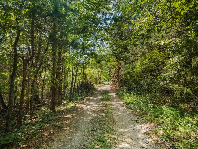 1531 Springplace Rd, W, Lewisburg, TN 37091