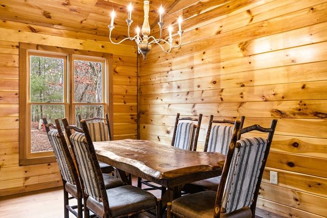 170 Ross Drive, Mineral Bluff, GA 30559