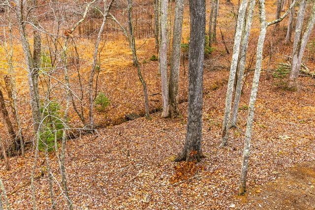 170 Ross Drive, Mineral Bluff, GA 30559