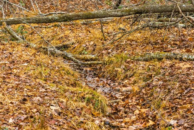 170 Ross Drive, Mineral Bluff, GA 30559