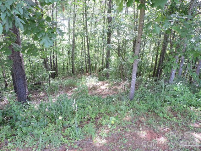 60 Gins Lane lot 11, Mars Hill, NC 28754