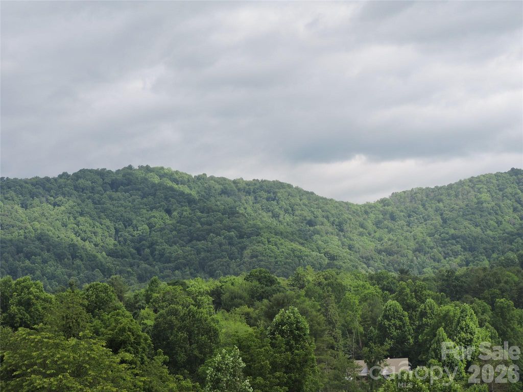 60 Gins Lane lot 11, Mars Hill, NC 28754