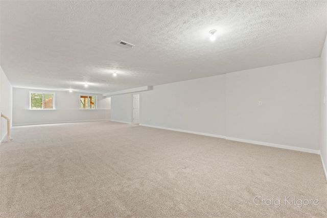 9219 Bigleaf Drive, West Olive, MI 49460