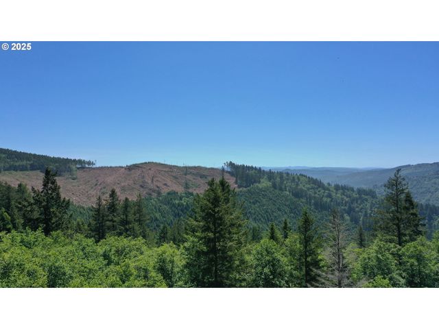 98393 E COUGAR Ln, Brookings, OR 97415