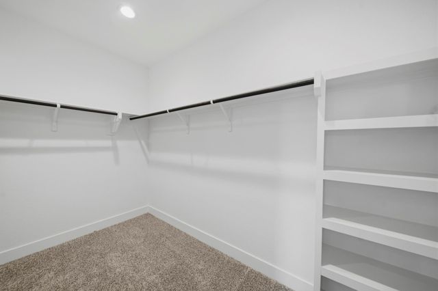 41010 Riverside Meadows Drive, Magnolia, TX 77354