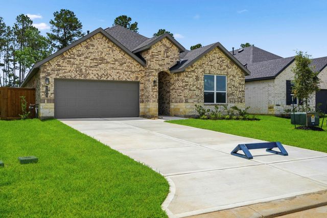41010 Riverside Meadows Drive, Magnolia, TX 77354