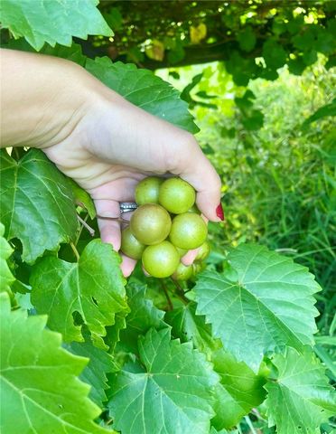 1803 W State Highway 10, Belleville, AR 72824