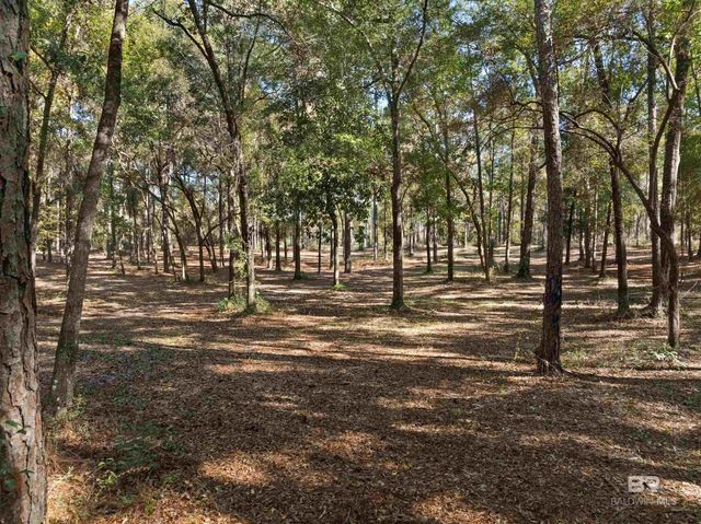 12800 Oak Tree Drive, Foley, AL 36535