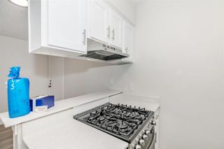 4415 Avenue B 104, Austin, TX 78751