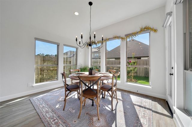 17522 Shoebutton, Conroe, TX 77385