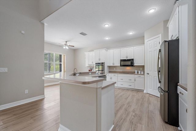 18046 COZUMEL ISLE DRIVE, Tampa, FL 33647