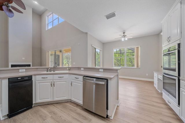 18046 COZUMEL ISLE DRIVE, Tampa, FL 33647