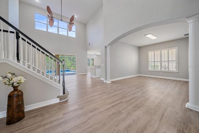 18046 COZUMEL ISLE DRIVE, Tampa, FL 33647
