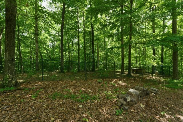 957 Ford Rd, White Bluff, TN 37187
