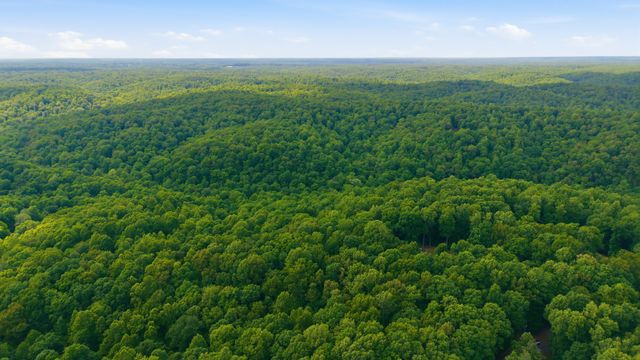 957 Ford Rd, White Bluff, TN 37187