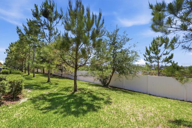 12909 DREAM CATCHER WAY, Riverview, FL 33579