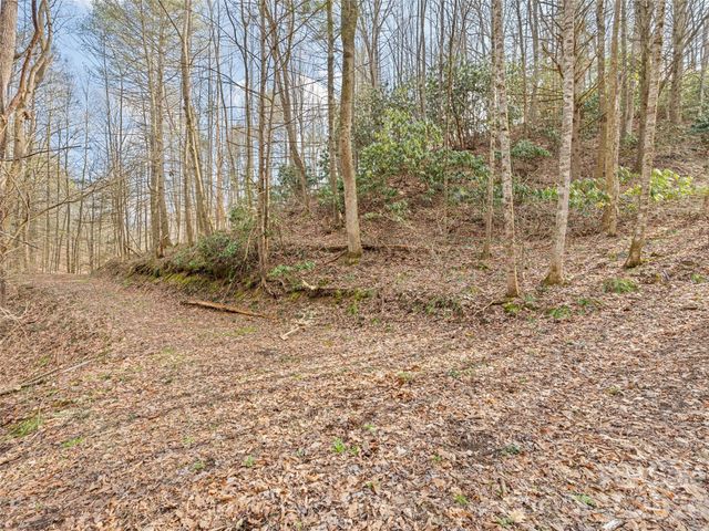 00 Harleys Cove lot 21, Waynesville, NC 28785