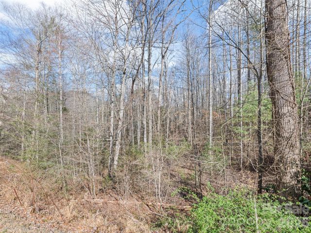 00 Harleys Cove lot 21, Waynesville, NC 28785